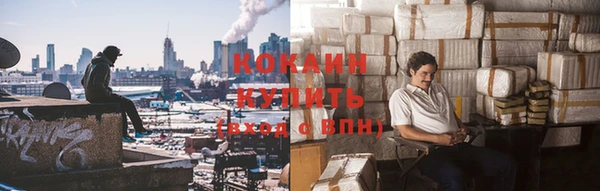 стаф Аркадак