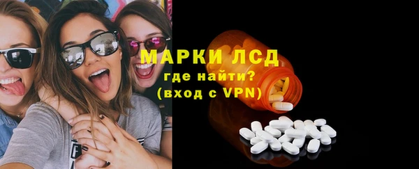 стаф Аркадак