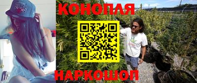 индика Сочи