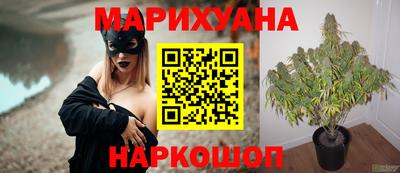 индика Сочи