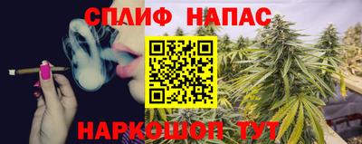 индика Сочи