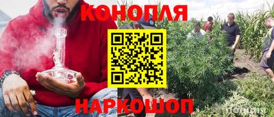 индика Сочи