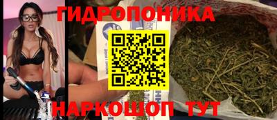 индика Сочи
