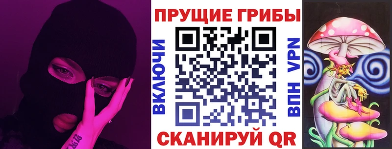 blacksprut сайт Строитель Псилоцибиновые грибы GOLDEN TEACHER закладка