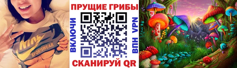 Галлюциногенные грибы Psilocybe Строитель