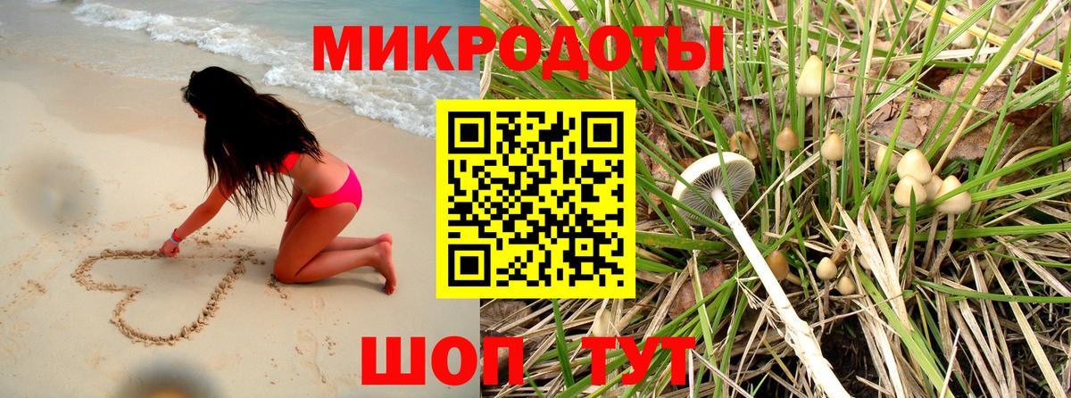 Псилоцибиновые грибы MAGIC MUSHROOMS  Вход с VPN  Строитель 