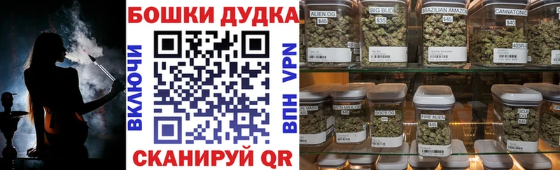 купить   Строитель  Бошки Шишки Amnesia 